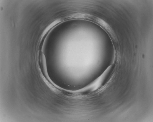 X0000082701426200701261234