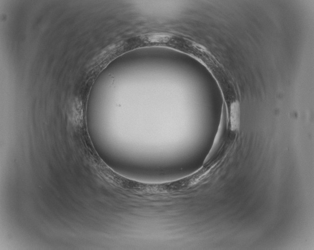 X0000082701443200701261234