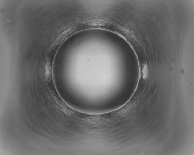 X0000082701444200701261234