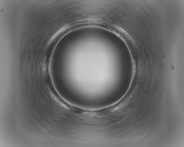 X0000082701450200701261234