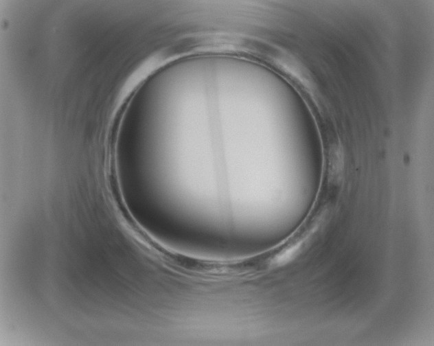 X0000082701467200701261233