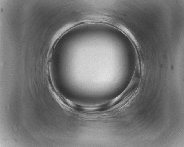 X0000082701485200701261233