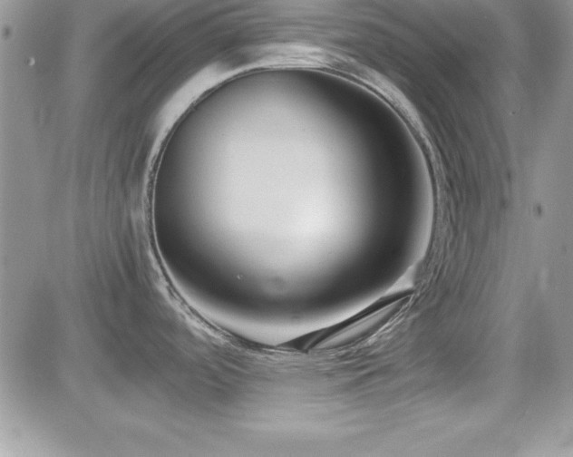 X0000082701488200701261233