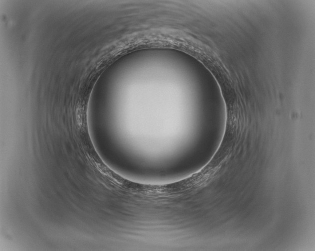 X0000082701490200701261232