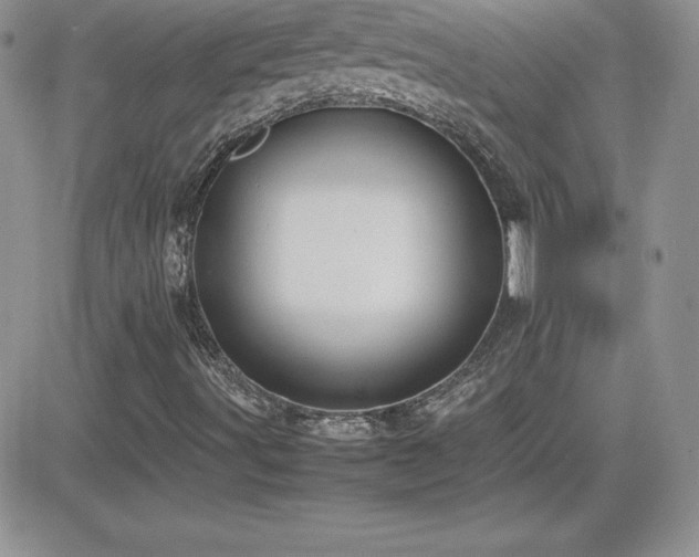 X0000082701491200701261232