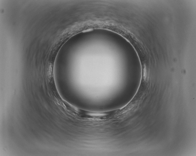 X0000082701492200701261232