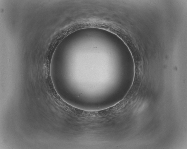 X0000082701493200701261232