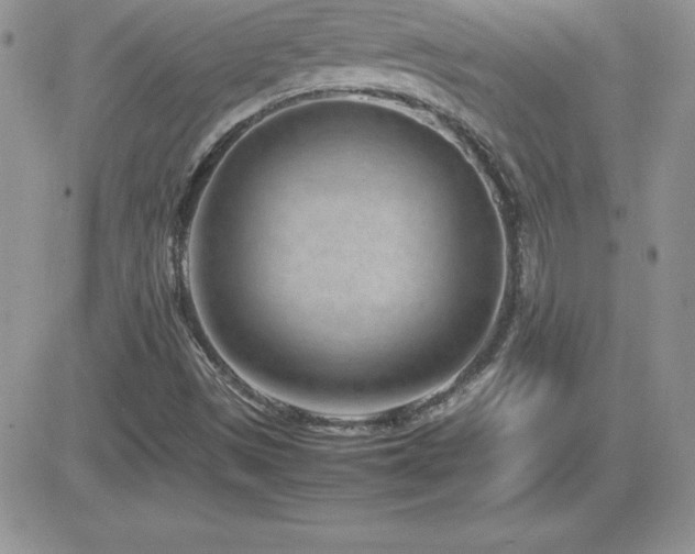 X0000082701497200701261232