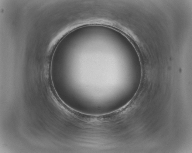 X0000082701504200701261232