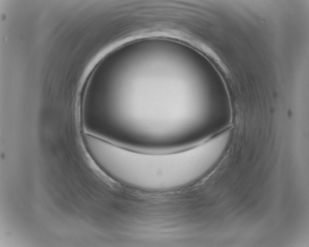 X0000082701516200701261233