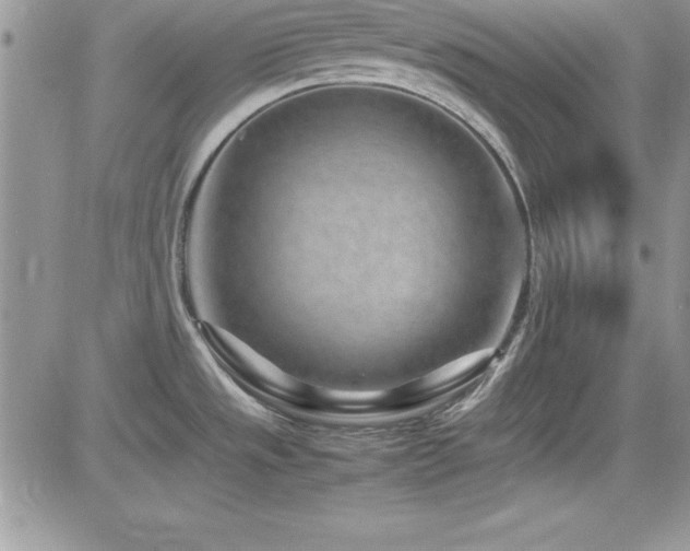 X0000082701533200701261233