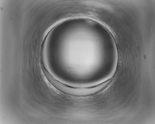X0000082701534200701261233