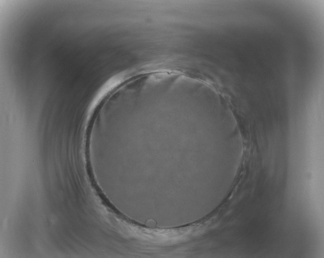 X0000082700006200702021405