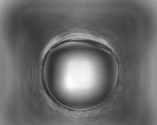 X0000082700007200702021405