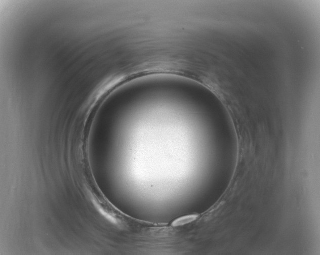 X0000082700050200702021404
