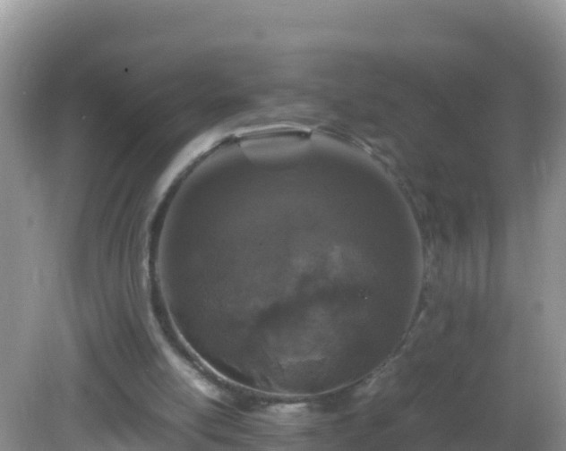 X0000082700054200702021404