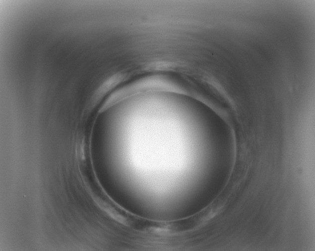 X0000082700068200702021404