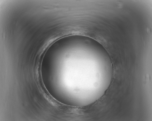 X0000082700098200702021404