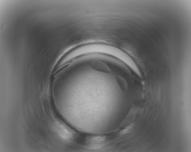 X0000082700156200702021402