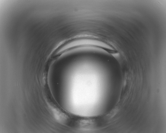 X0000082700160200702021402