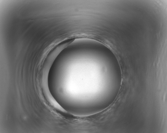 X0000082700193200702021402