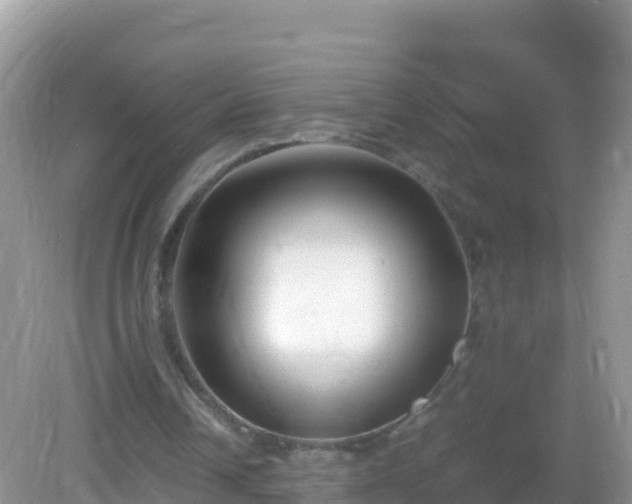 X0000082700242200702021400