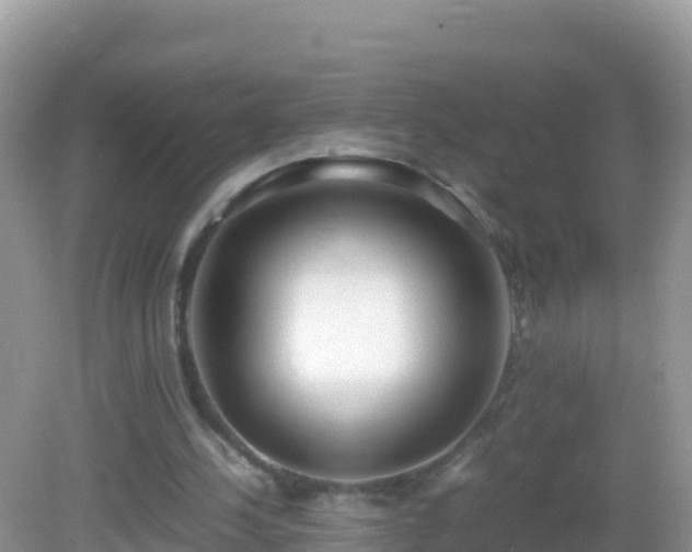 X0000082700244200702021400