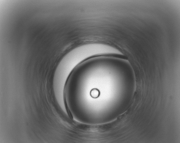 X0000082700264200702021401