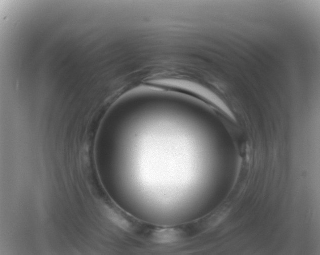 X0000082700269200702021401