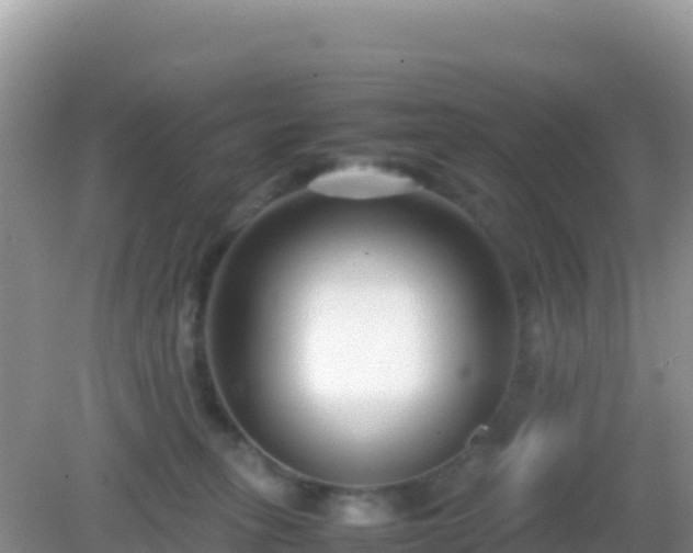X0000082700275200702021401