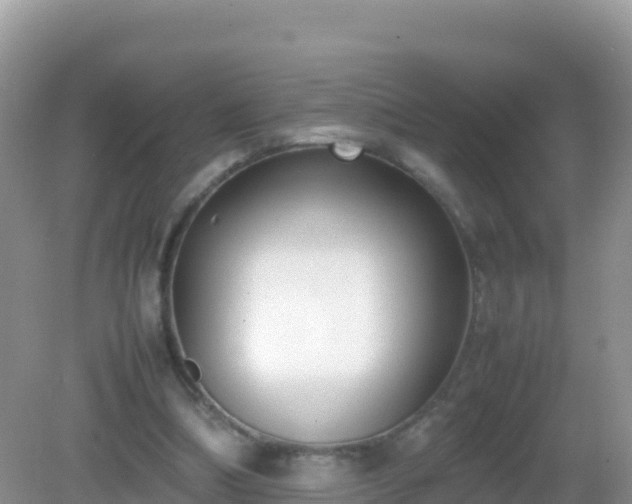 X0000082700298200702021400