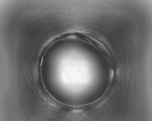 X0000082700388200702021359