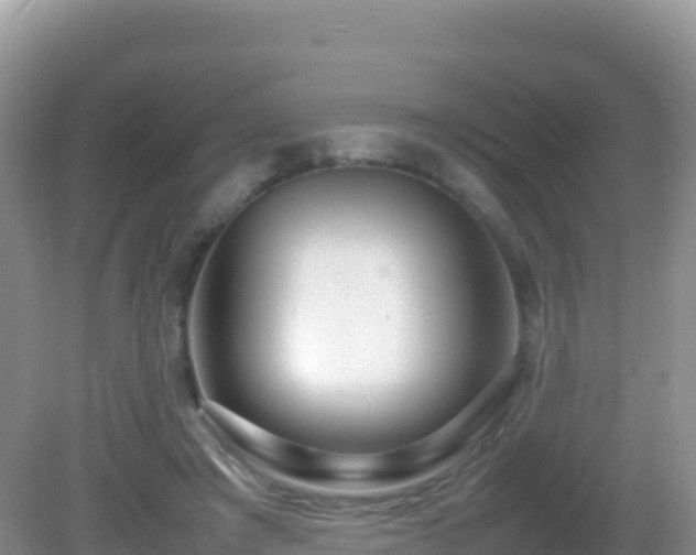 X0000082700401200702021358