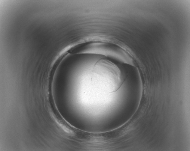 X0000082700438200702021357