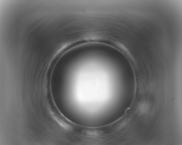 X0000082700439200702021357