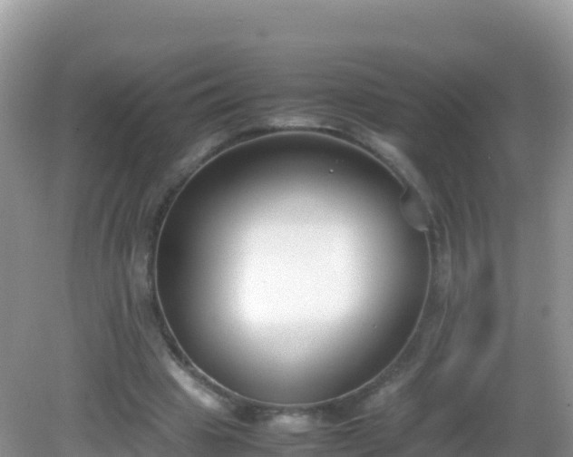 X0000082700441200702021357