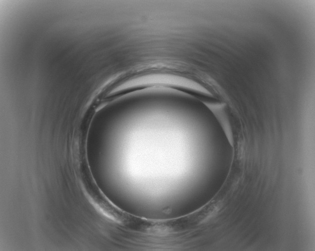 X0000082700444200702021357