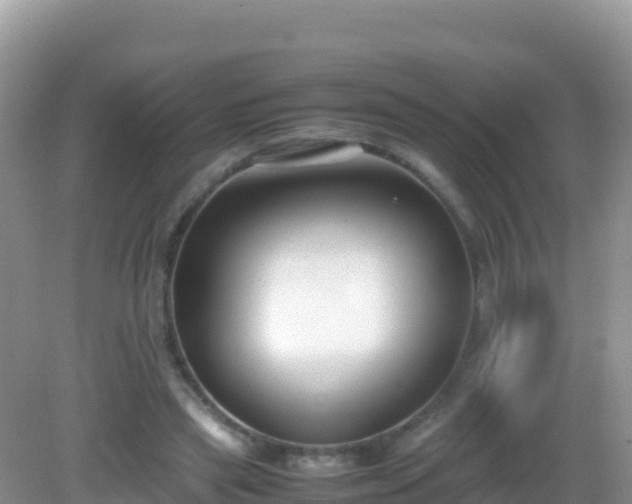 X0000082700445200702021357