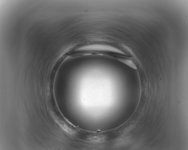 X0000082700447200702021357