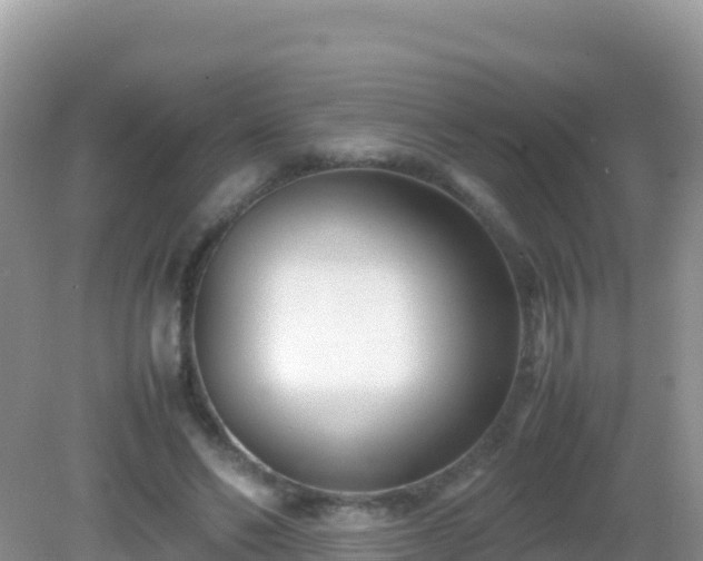 X0000082700494200702021357