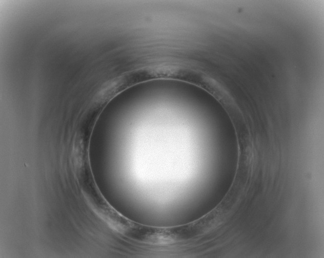 X0000082700498200702021357