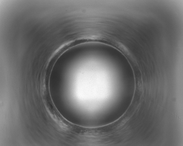 X0000082700532200702021356