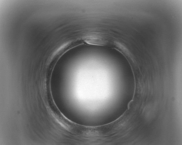 X0000082700535200702021356