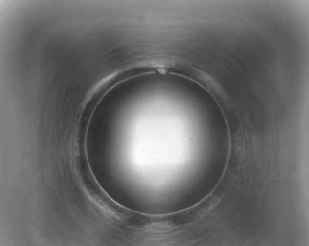 X0000082700536200702021356