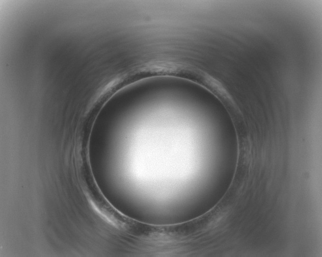 X0000082700538200702021356