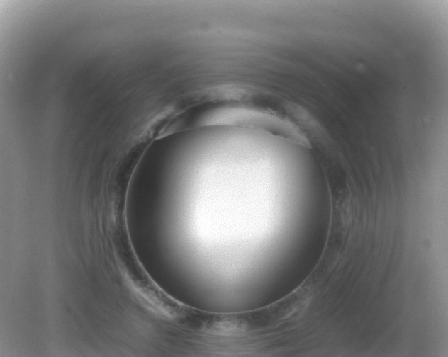 X0000082700546200702021356