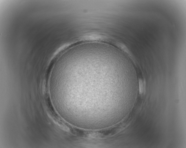 X0000082700579200702021355