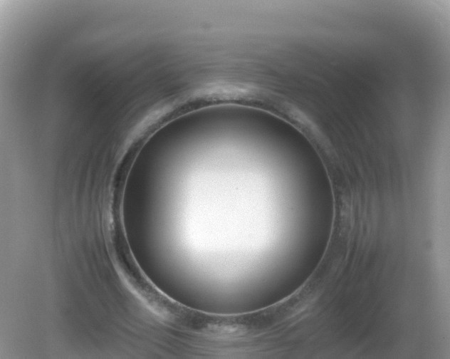 X0000082700582200702021355