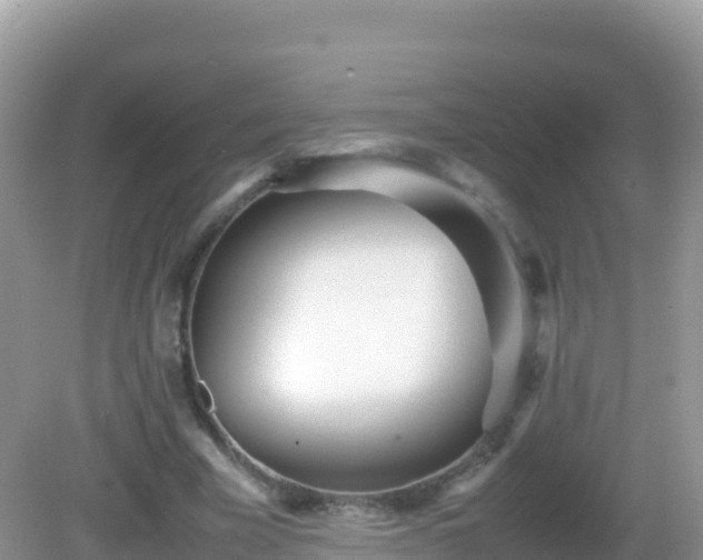 X0000082700585200702021355