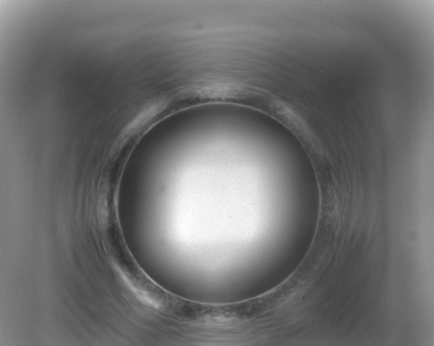 X0000082700586200702021355